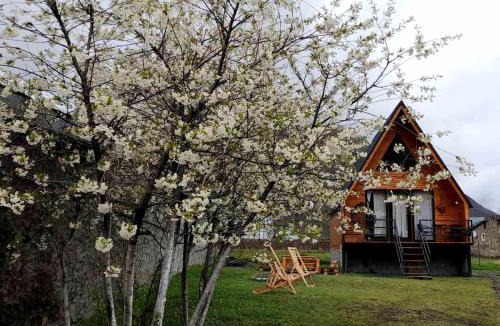 Ach'khoti Apartment | Thomas' Hut