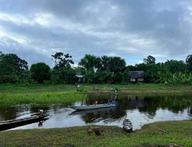 Amazon eagle Explore in Nauta