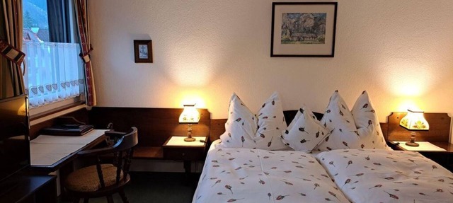 Double room "Steyrblick" with shower, WC - Hotel garni Landhaus Bürtlmair * in Mitterstoder