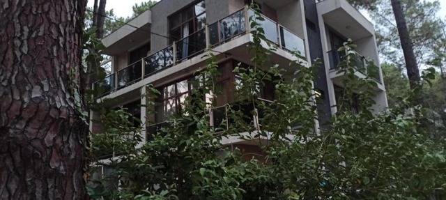 kaprovani Kako in Shekhvetili