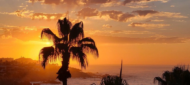 New Owner Special! - 2br/2ba - Oceanview/private Beach in Cabo San Lucas