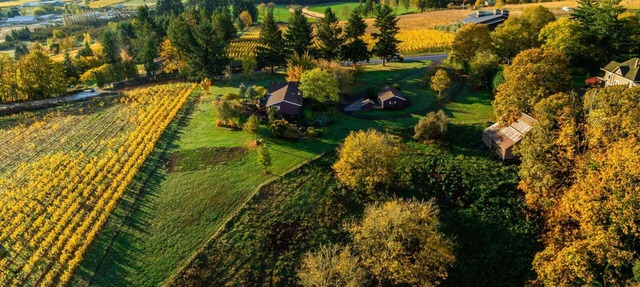 Panoramic Vineyard Views, Pet Friendly, New Deck, Game Room, Ping Pong, Darts, Walk to Vineyards in Dundee