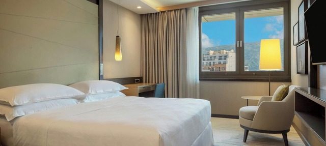Sheraton Grand Tbilisi Metechi Palace in Tbilisi