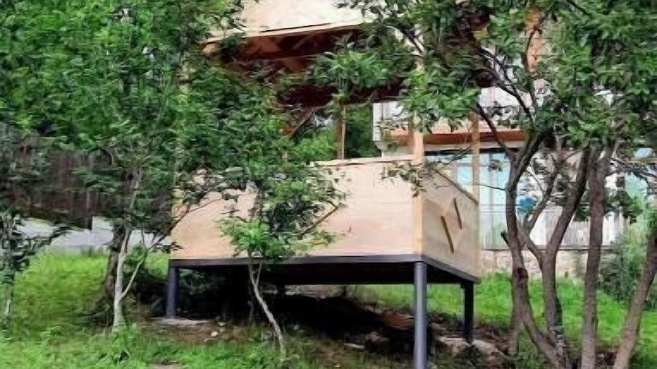 Photo of Outdoor in Bakuriani