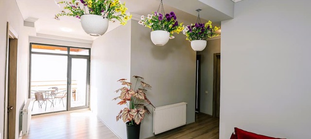 Dandelion Hotel Gudauri in Kazbegi